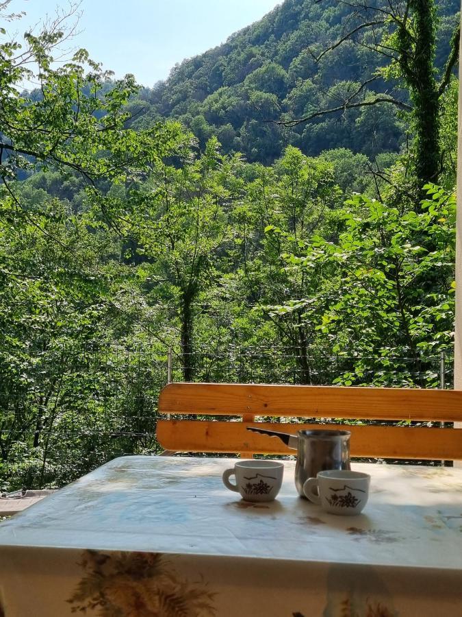 Glamping House ˇvitaˇ Hotel Tolmin Ngoại thất bức ảnh